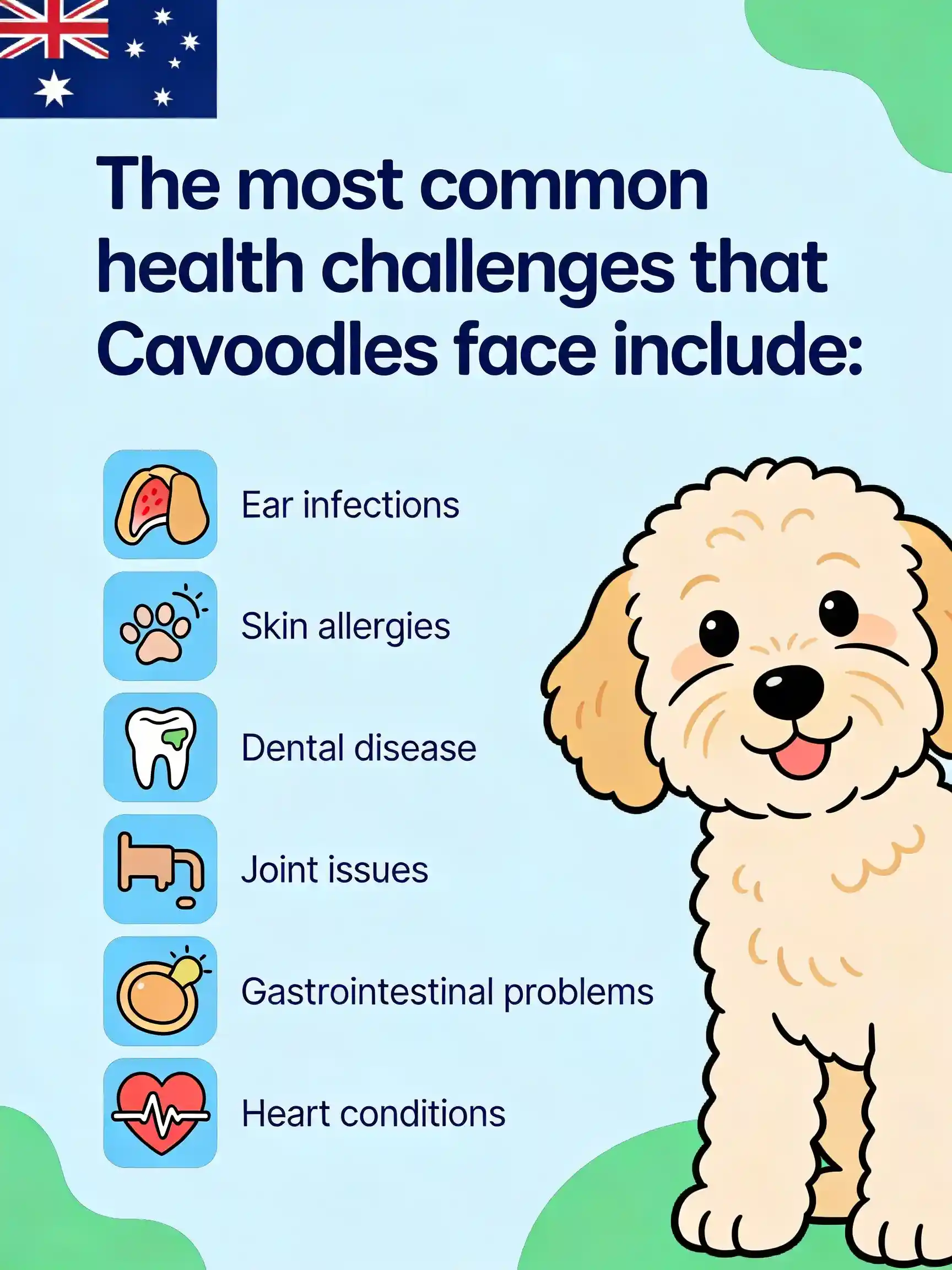 Most common health challenges that cavoodles face include: