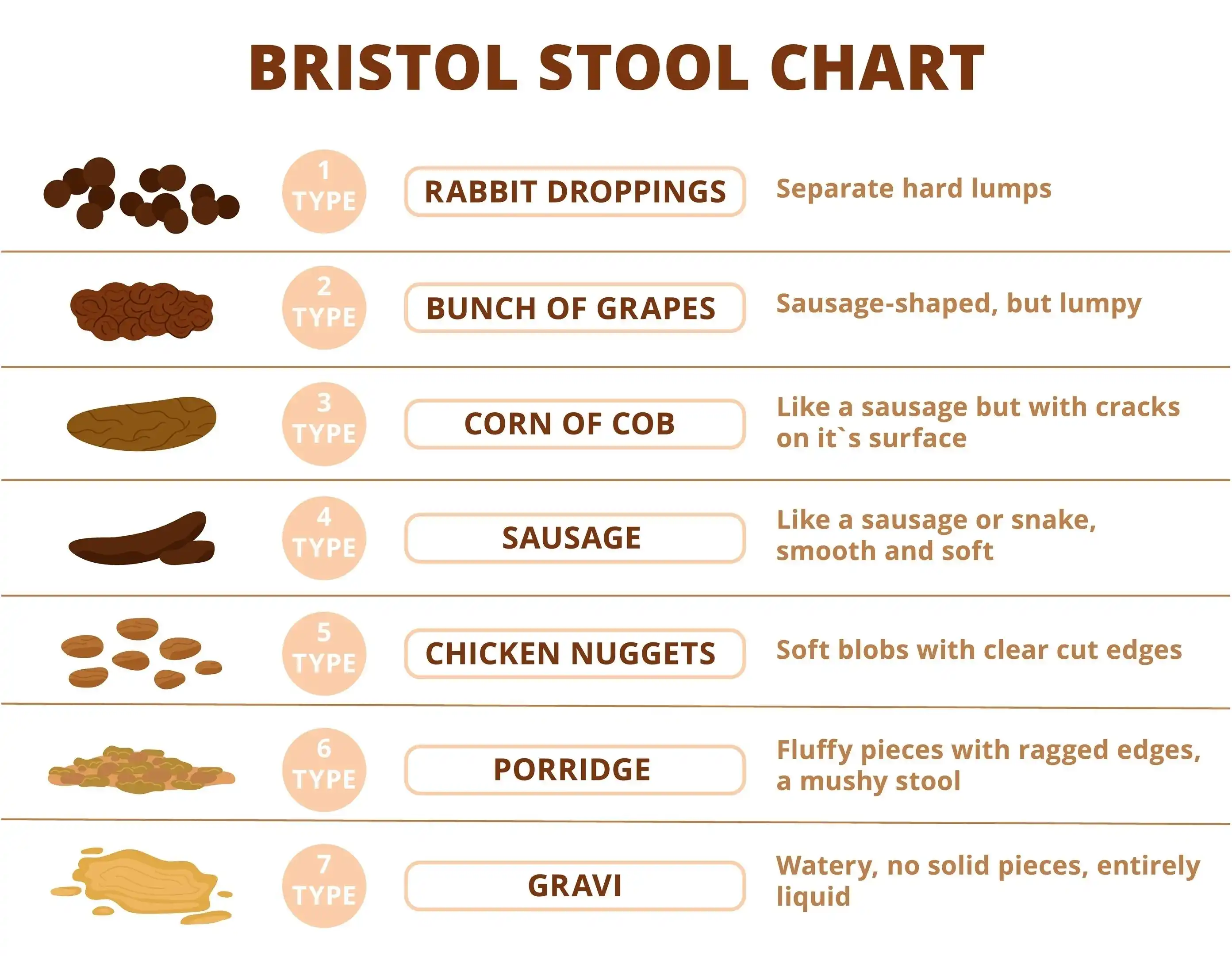 Dog Diarrhoea Causes Home Triage When to Call a Vet