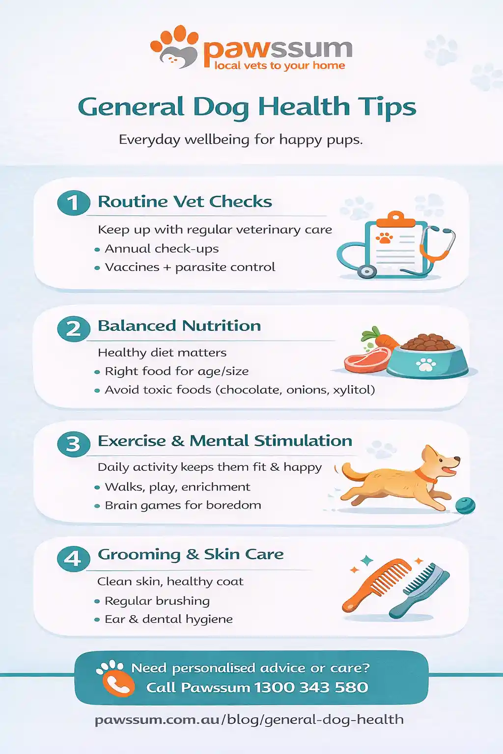 General Dog Health: What Every Owner Should Know
