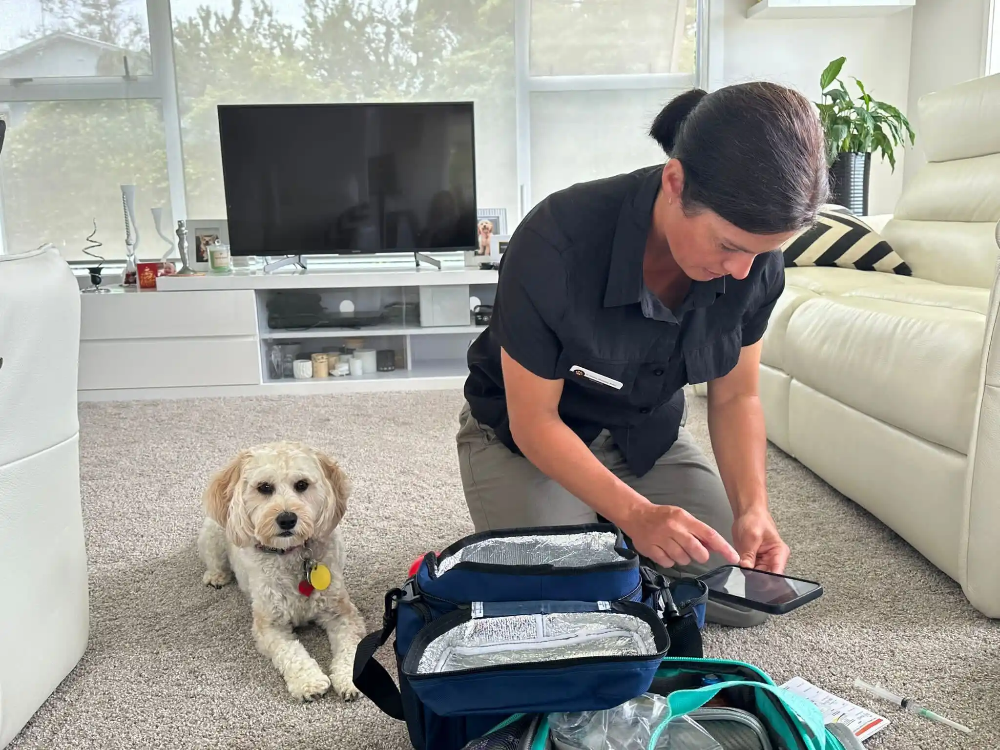 Mobile vet annual check