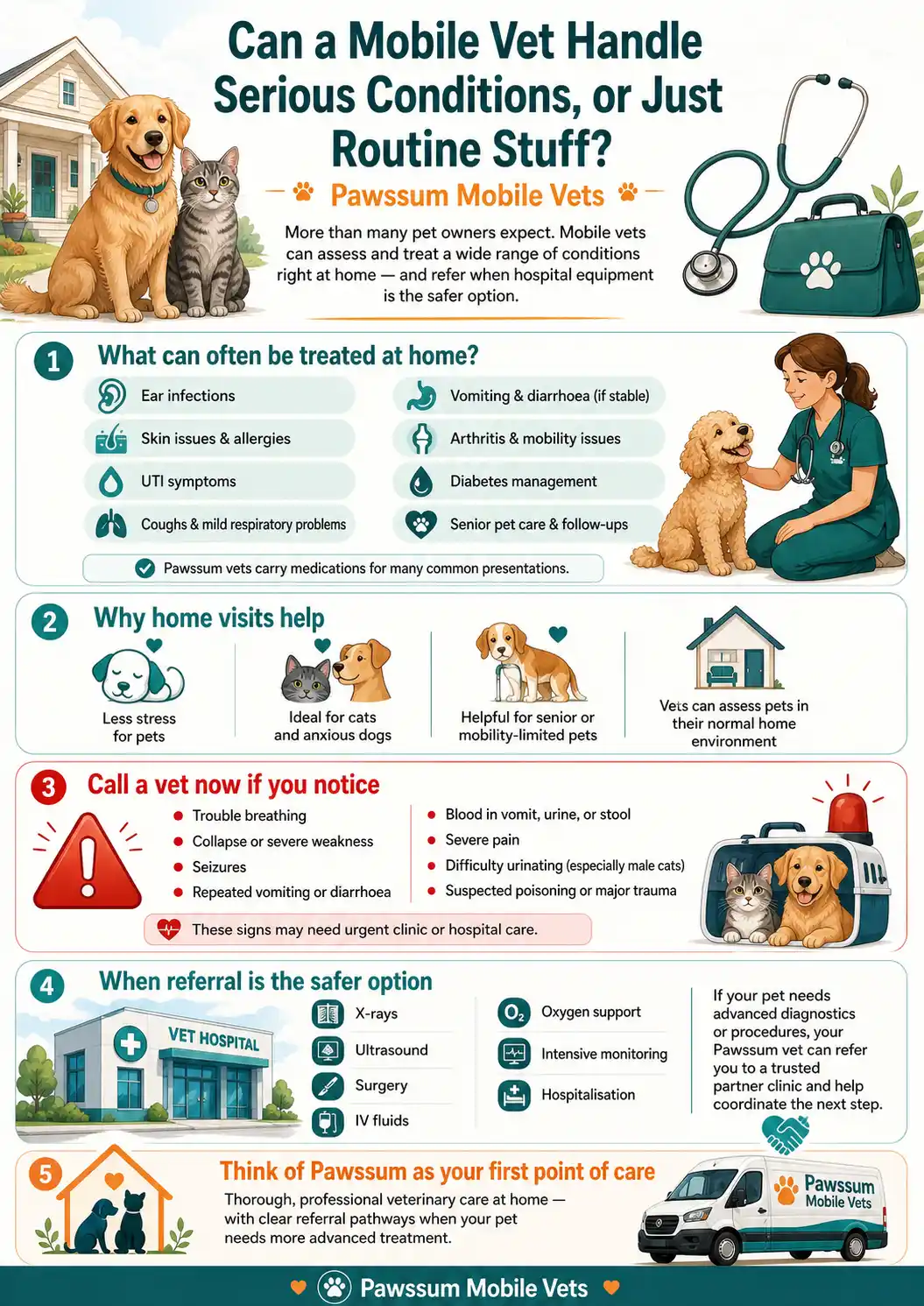 What can be done at vet home visit