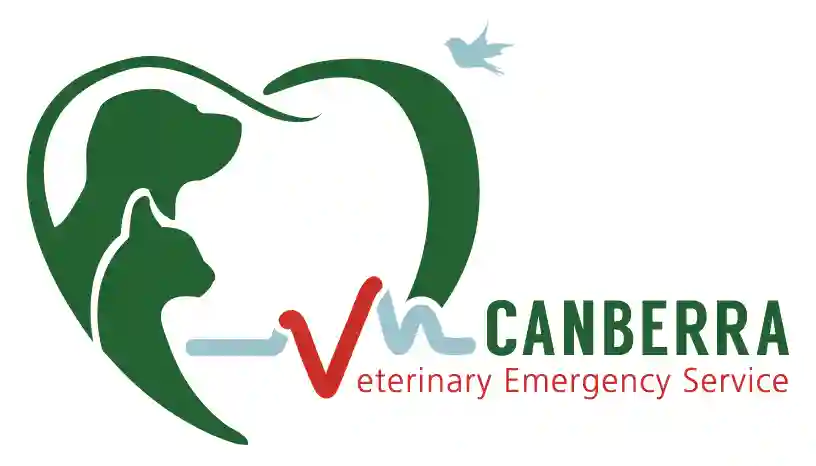 Canberra Veterinary Emergency Service ACT