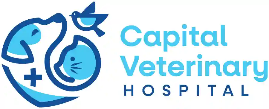 Capital Veterinary Hospital ACT