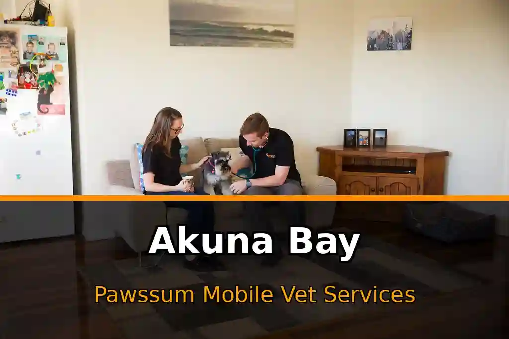 Pawssum mobile vet providing in-home pet care in Akuna Bay, nsw-central-coast