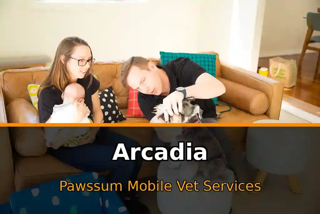 Pawssum mobile vet providing in-home pet care in Arcadia, nsw-central-coast