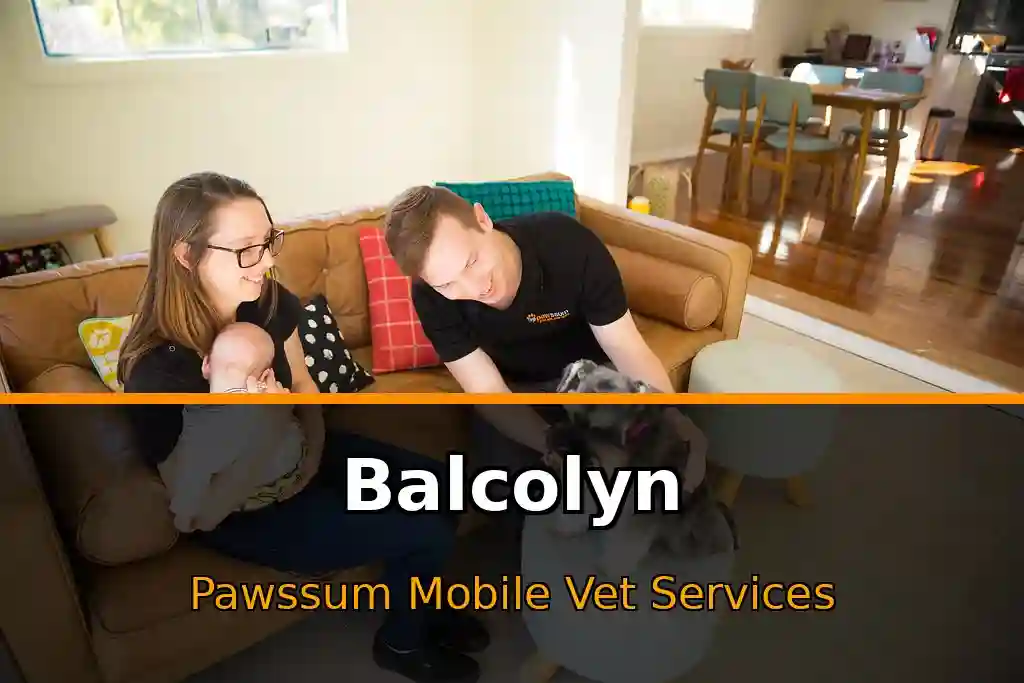 Pawssum mobile vet providing in-home pet care in Balcolyn, nsw-central-coast