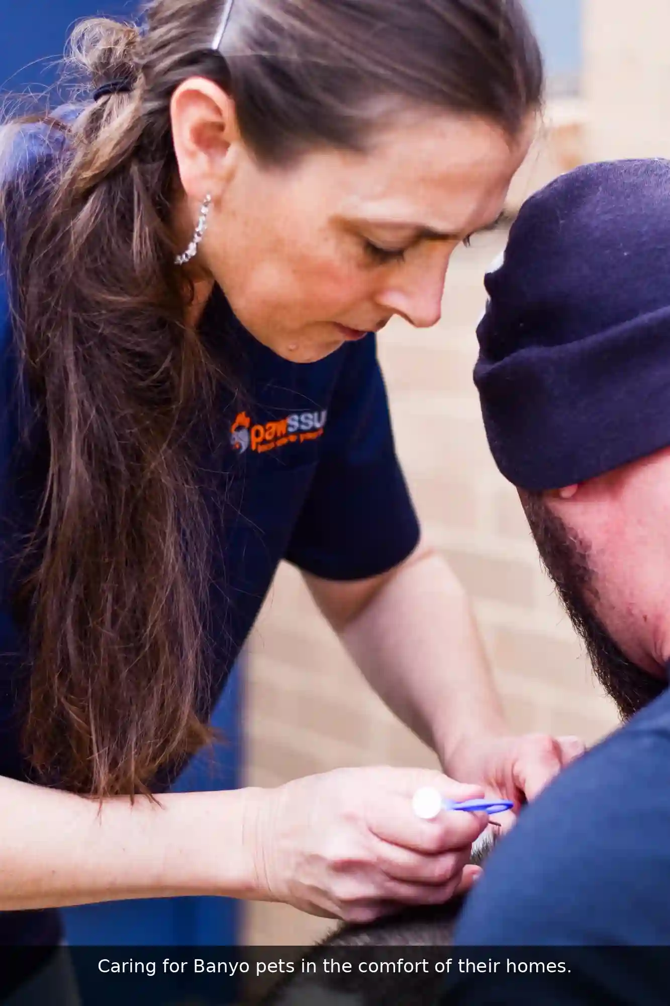 Pawssum mobile vet providing in-home pet care in Banyo, brisbane