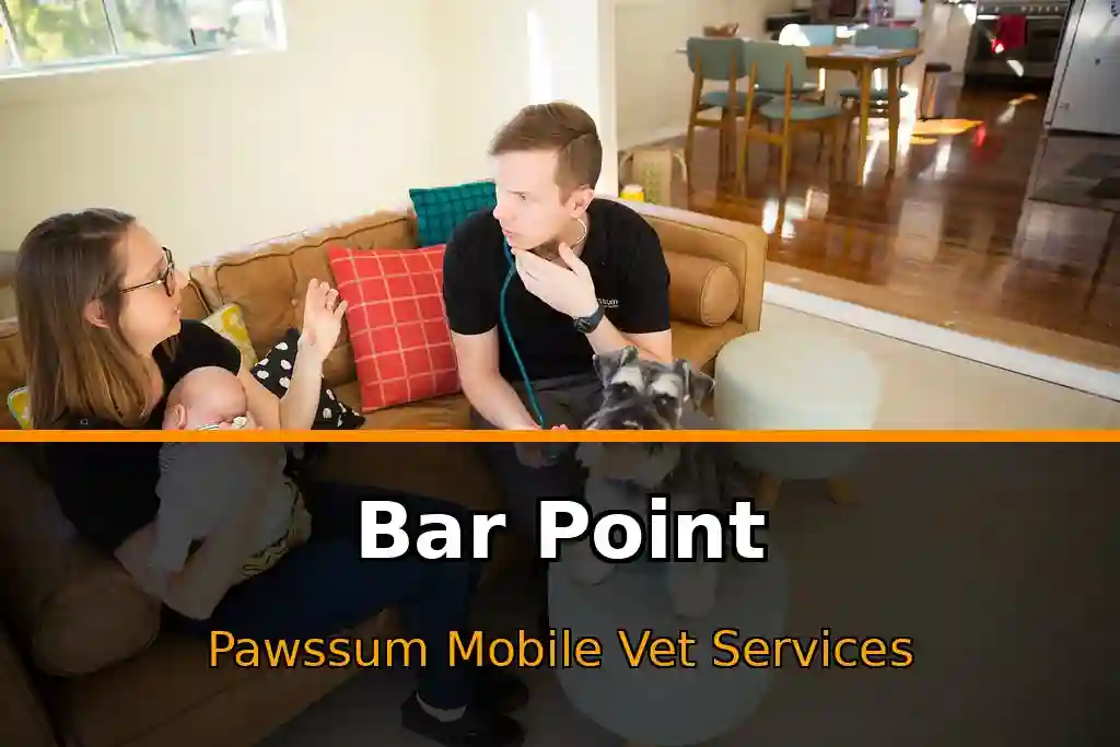 Pawssum mobile vet providing in-home pet care in Bar Point, nsw-central-coast