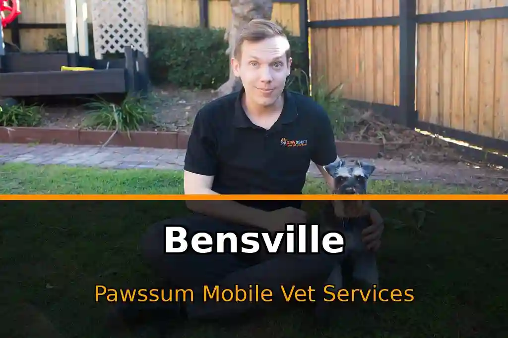 Pawssum mobile vet providing in-home pet care in Bensville, nsw-central-coast