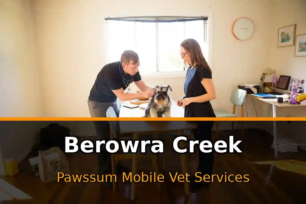 Pawssum mobile vet providing in-home pet care in Berowra Creek, nsw-central-coast