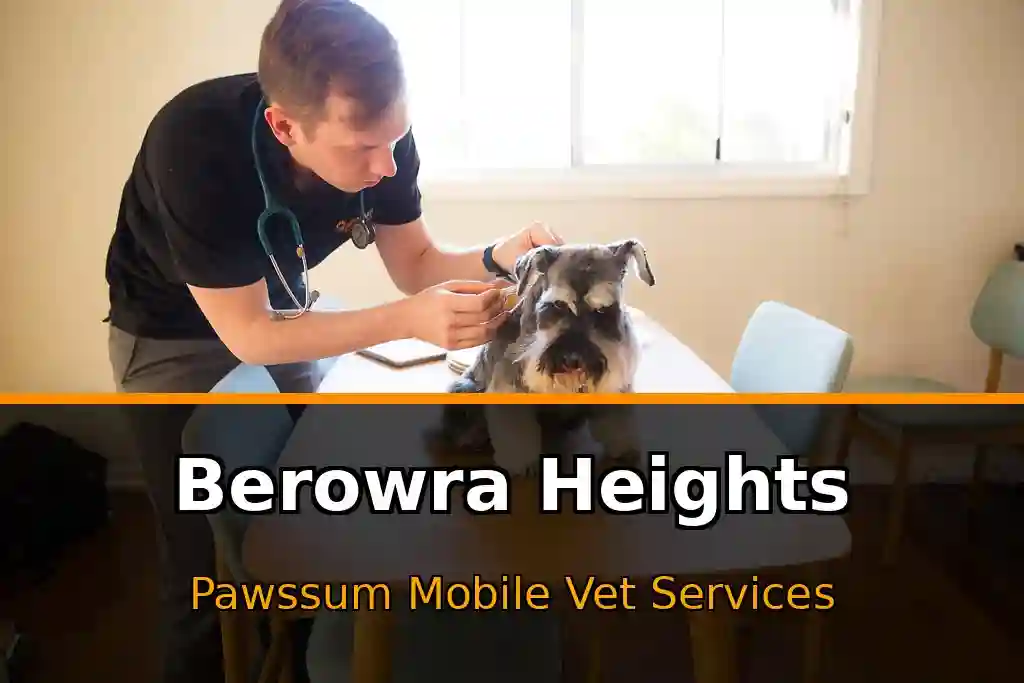 Pawssum mobile vet providing in-home pet care in Berowra Heights, nsw-central-coast