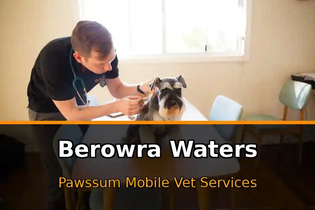 Pawssum mobile vet providing in-home pet care in Berowra Waters, nsw-central-coast