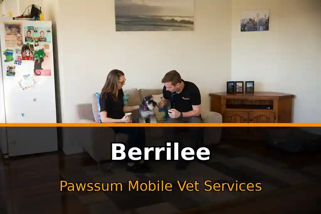 Pawssum mobile vet providing in-home pet care in Berrilee, nsw-central-coast
