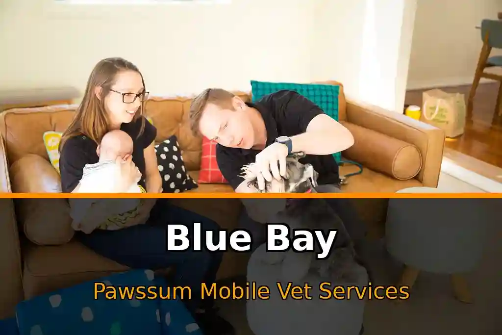Pawssum mobile vet providing in-home pet care in Blue Bay, nsw-central-coast