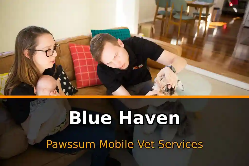 Pawssum mobile vet providing in-home pet care in Blue Haven, nsw-central-coast