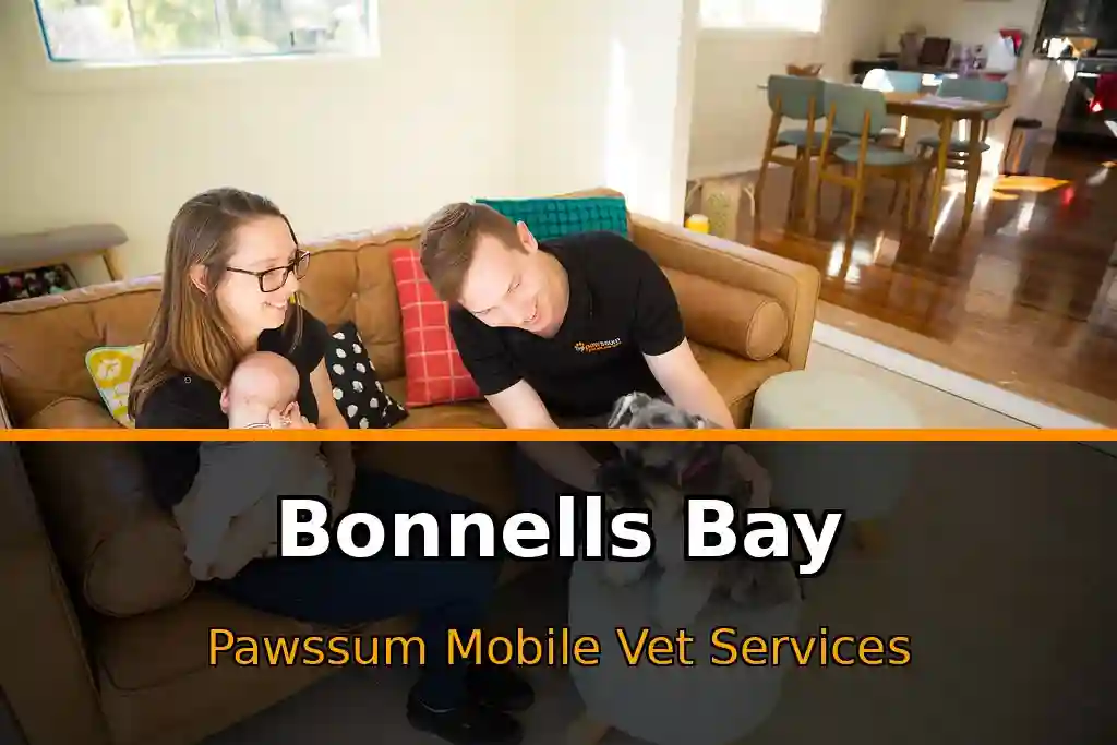 Pawssum mobile vet providing in-home pet care in Bonnells Bay, nsw-central-coast