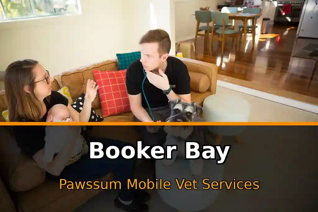 Pawssum mobile vet providing in-home pet care in Booker Bay, nsw-central-coast