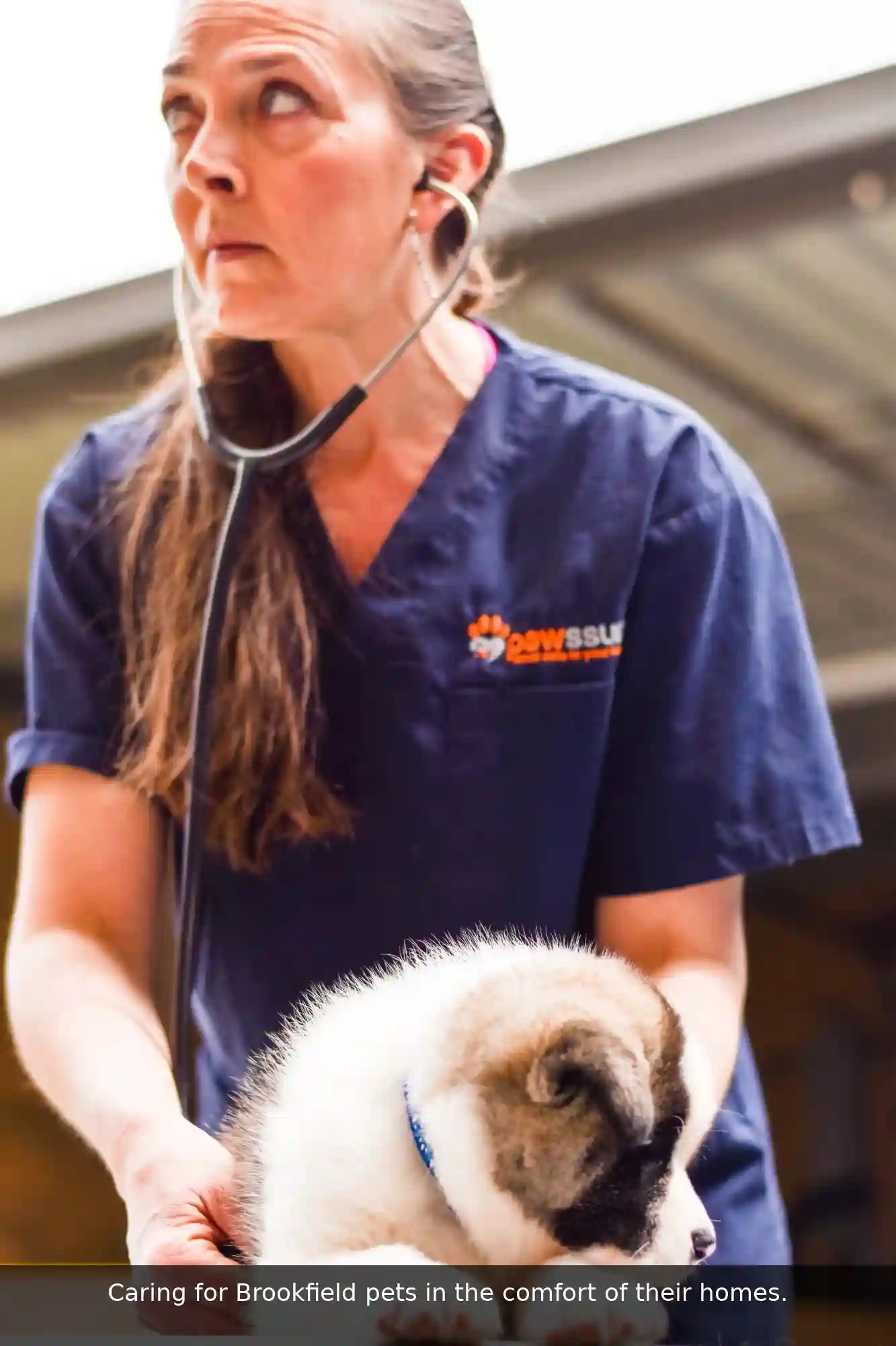 Pawssum mobile vet providing in-home pet care in Brookfield, brisbane