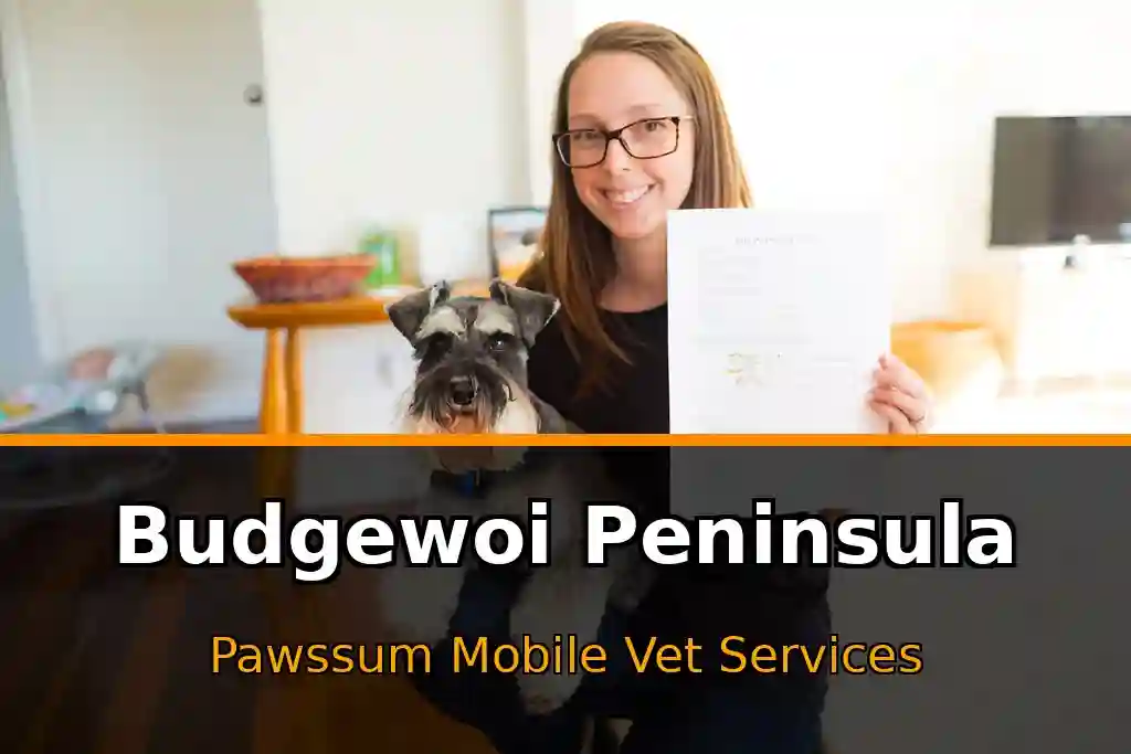Pawssum mobile vet providing in-home pet care in Budgewoi Peninsula, nsw-central-coast
