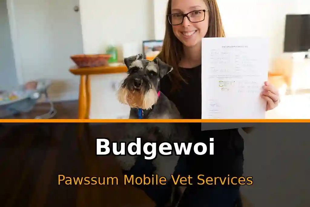 Pawssum mobile vet providing in-home pet care in Budgewoi, nsw-central-coast