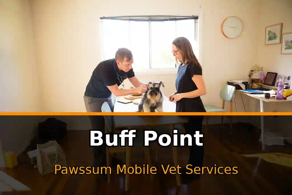 Pawssum mobile vet providing in-home pet care in Buff Point, nsw-central-coast