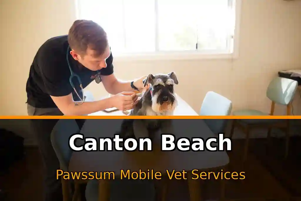 Pawssum mobile vet providing in-home pet care in Canton Beach, nsw-central-coast
