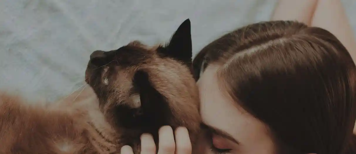 Woman and cat tenderly touching heads together