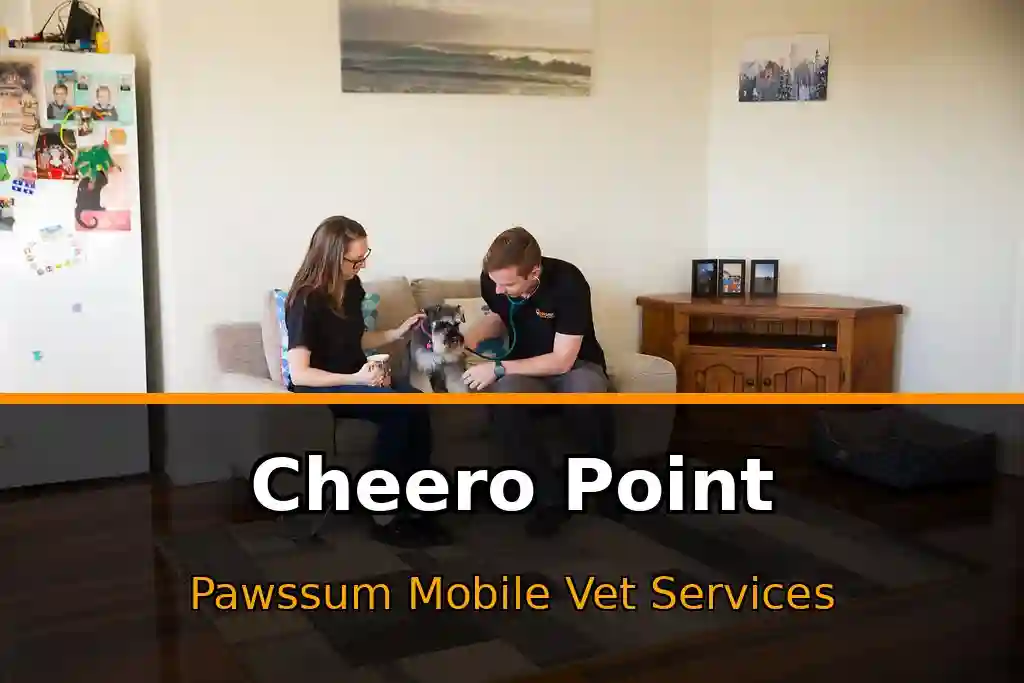 Pawssum mobile vet providing in-home pet care in Cheero Point, nsw-central-coast