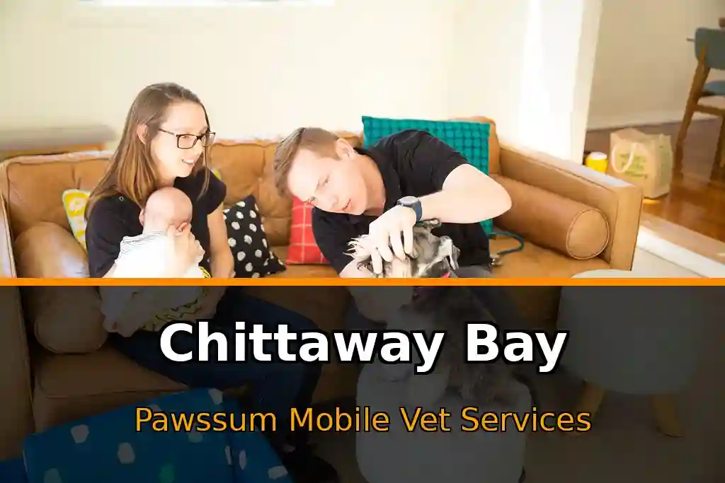 Pawssum mobile vet providing in-home pet care in Chittaway Bay, nsw-central-coast