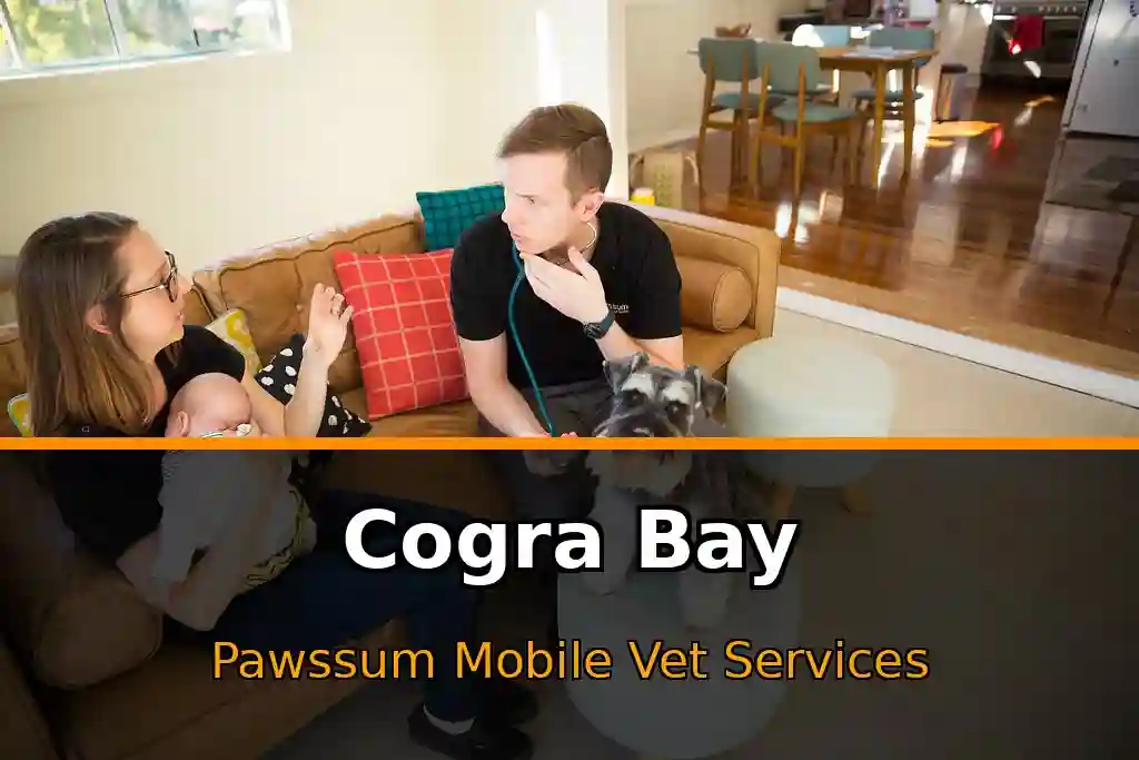 Pawssum mobile vet providing in-home pet care in Cogra Bay, nsw-central-coast