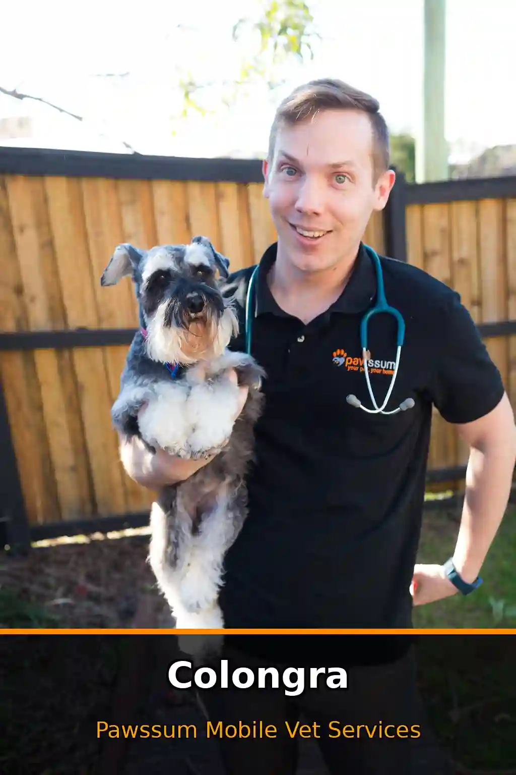 Pawssum mobile vet providing in-home pet care in Colongra, nsw-central-coast