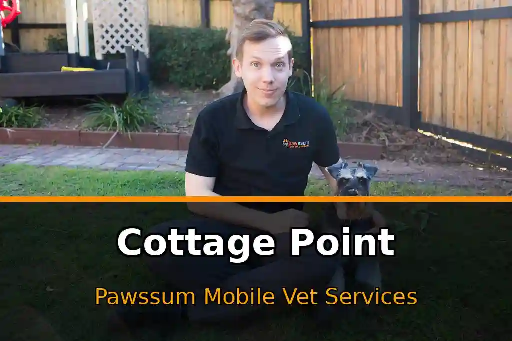 Pawssum mobile vet providing in-home pet care in Cottage Point, nsw-central-coast