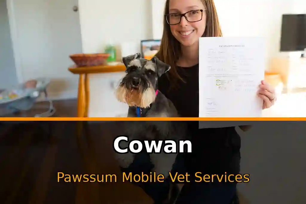 Pawssum mobile vet providing in-home pet care in Cowan, nsw-central-coast