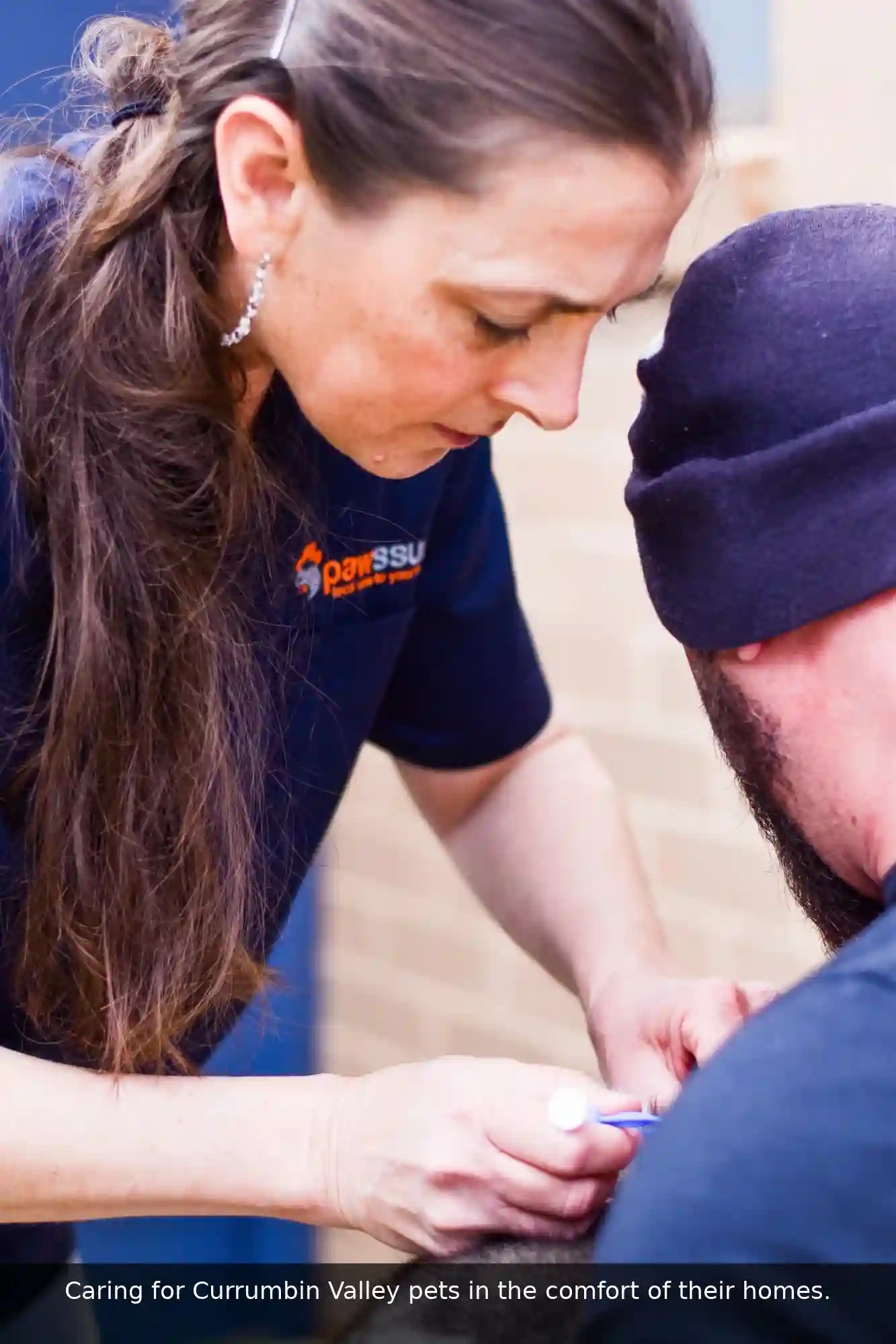 Pawssum mobile vet providing in-home pet care in Currumbin Valley, gold-coast