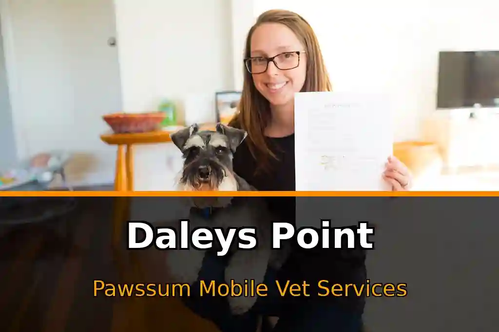Pawssum mobile vet providing in-home pet care in Daleys Point, nsw-central-coast