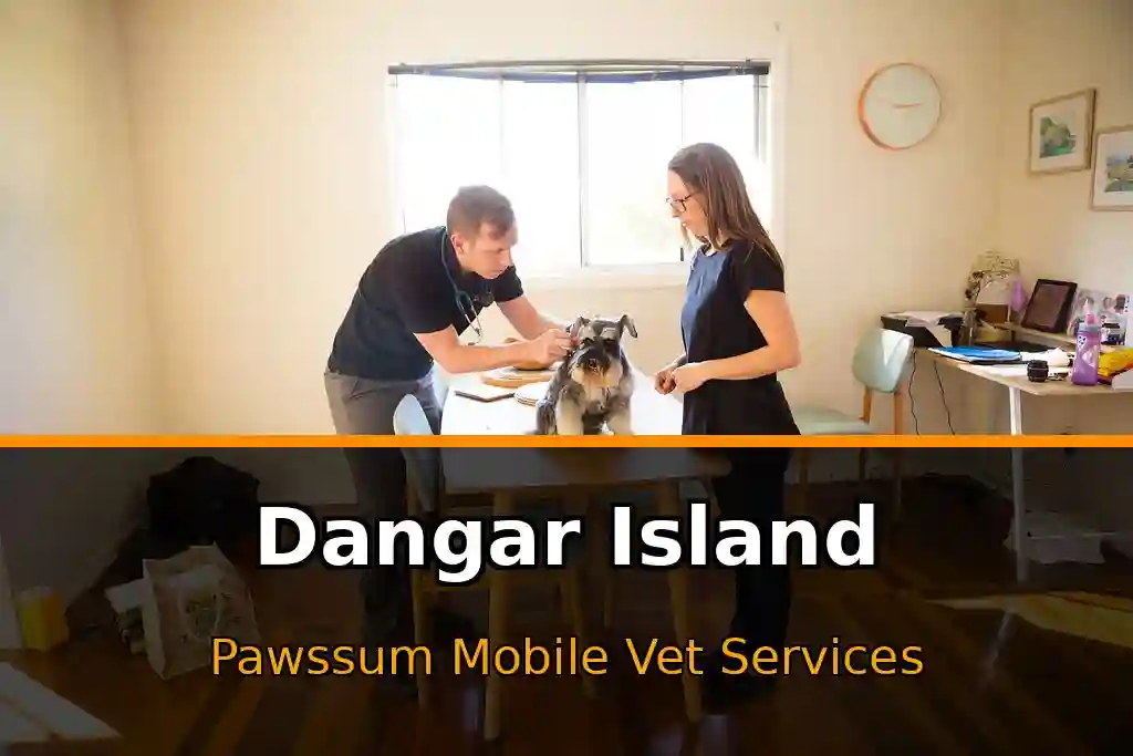 Pawssum mobile vet providing in-home pet care in Dangar Island, nsw-central-coast