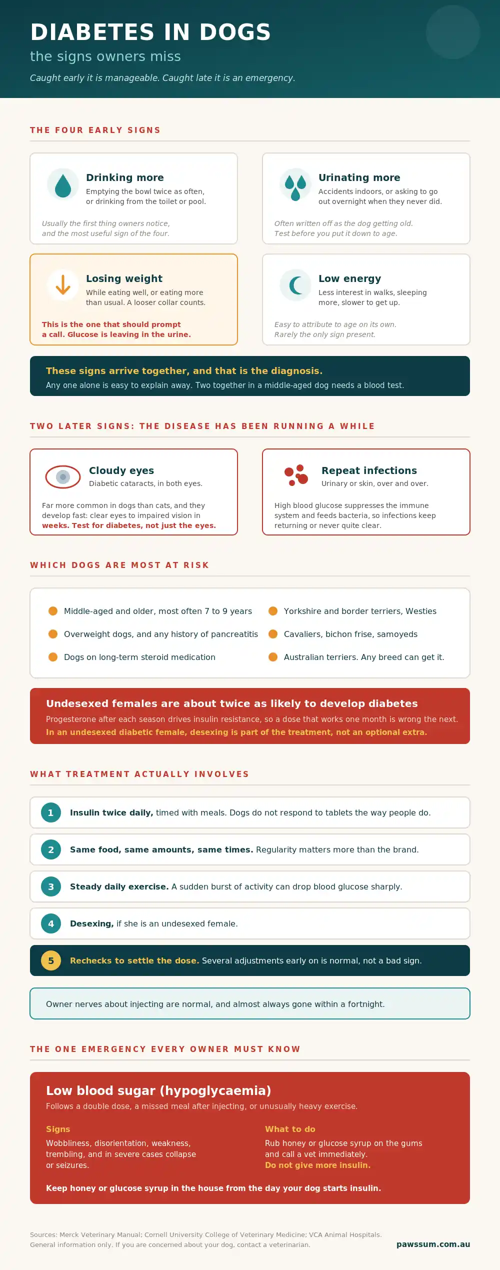 diabetes in dogs