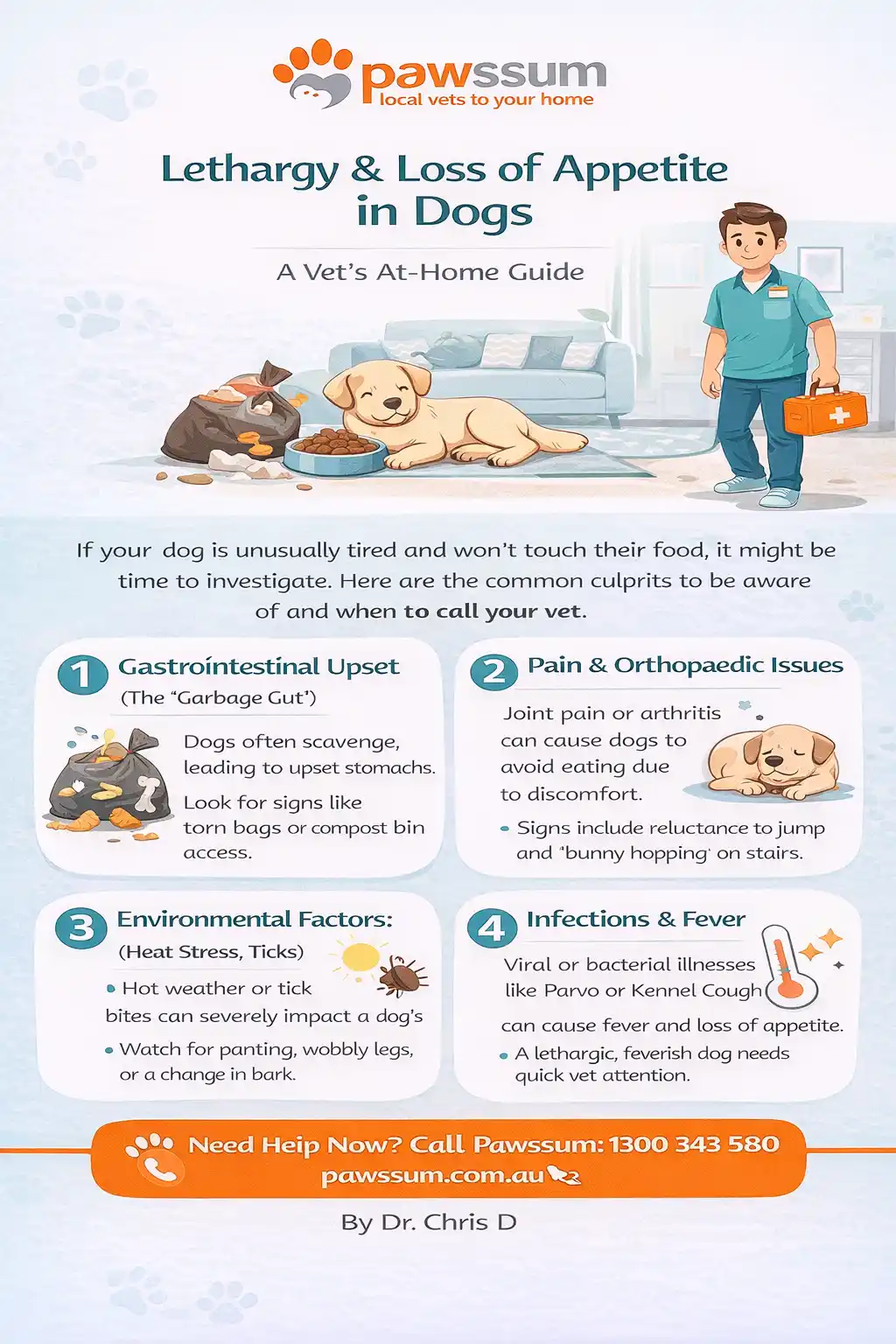 dog lethargic and won't eat