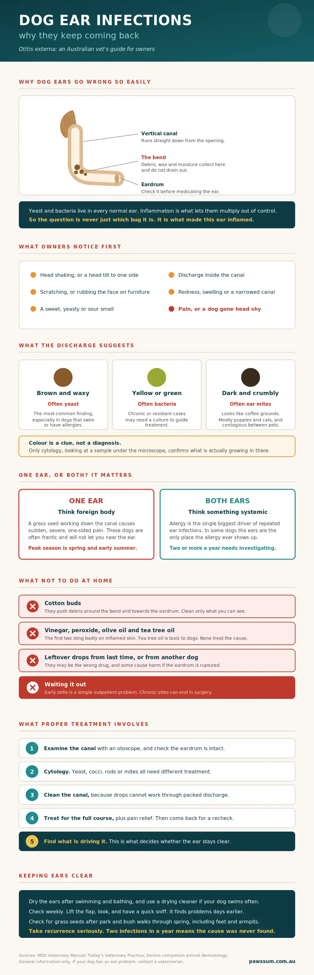 dog ear infections