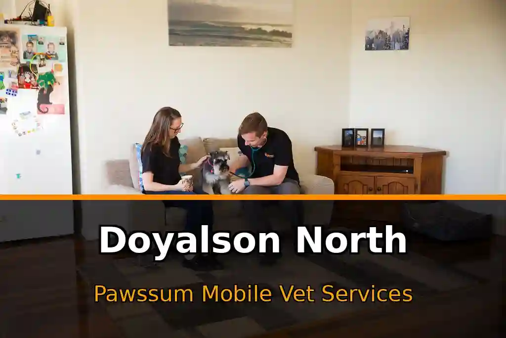 Pawssum mobile vet providing in-home pet care in Doyalson North, nsw-central-coast