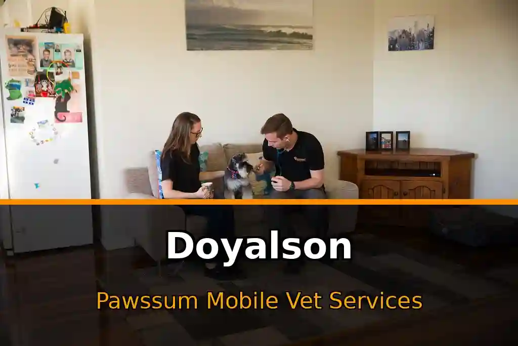 Pawssum mobile vet providing in-home pet care in Doyalson, nsw-central-coast