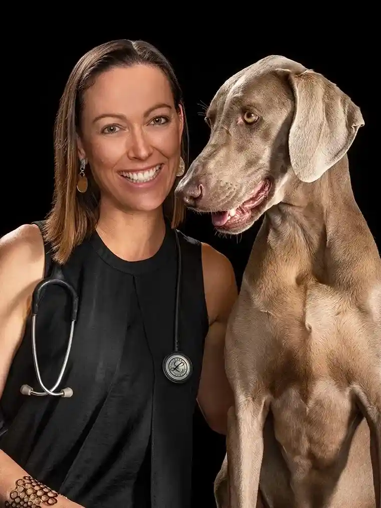 Brown dog with a Pawssum vet
