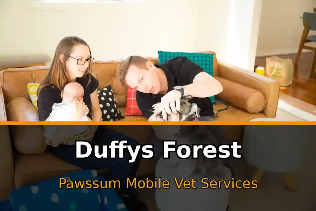 Pawssum mobile vet providing in-home pet care in Duffys Forest, nsw-central-coast