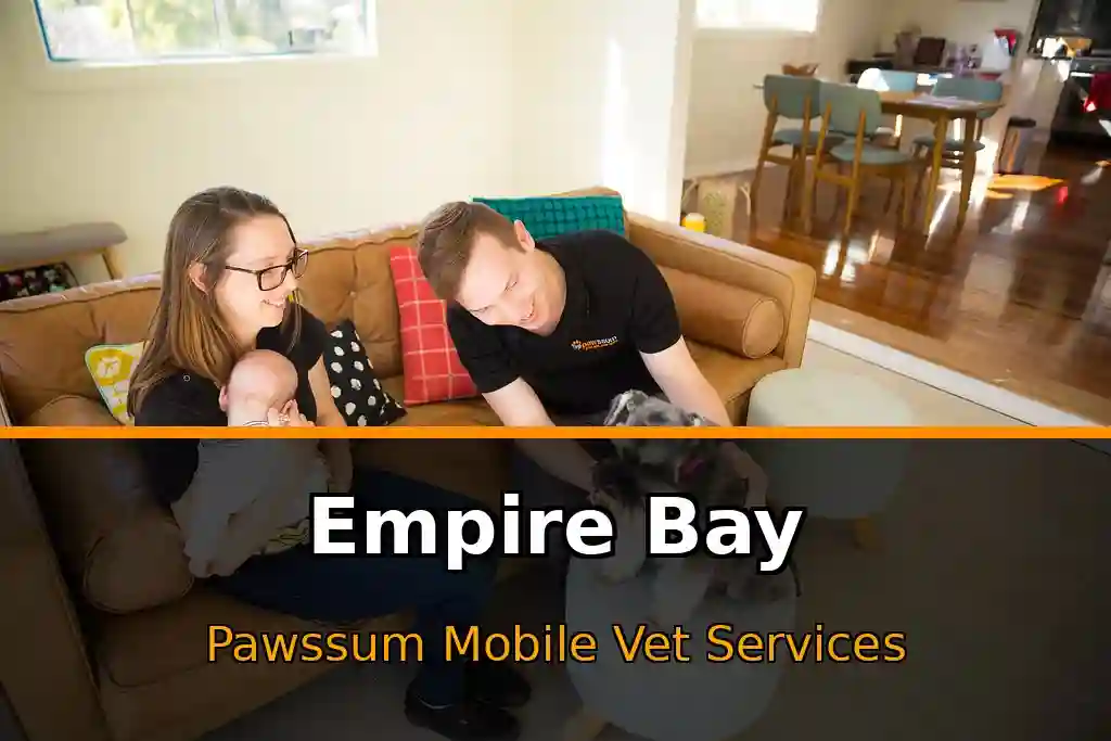 Pawssum mobile vet providing in-home pet care in Empire Bay, nsw-central-coast