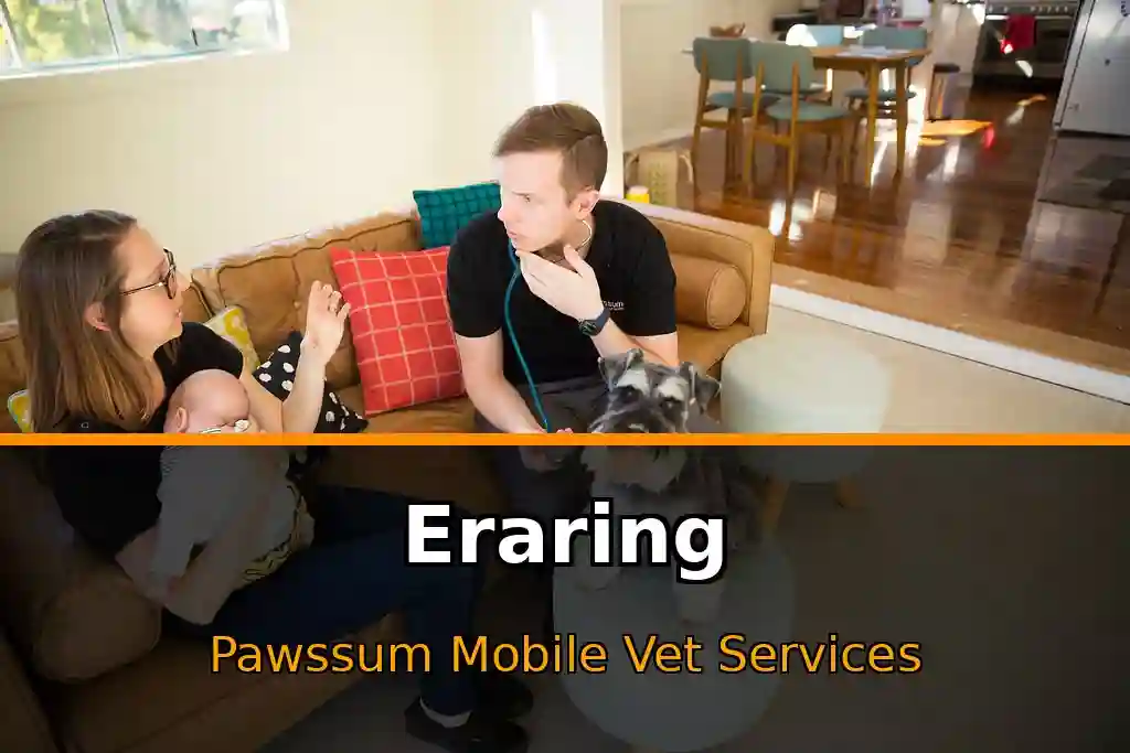 Pawssum mobile vet providing in-home pet care in Eraring, nsw-central-coast