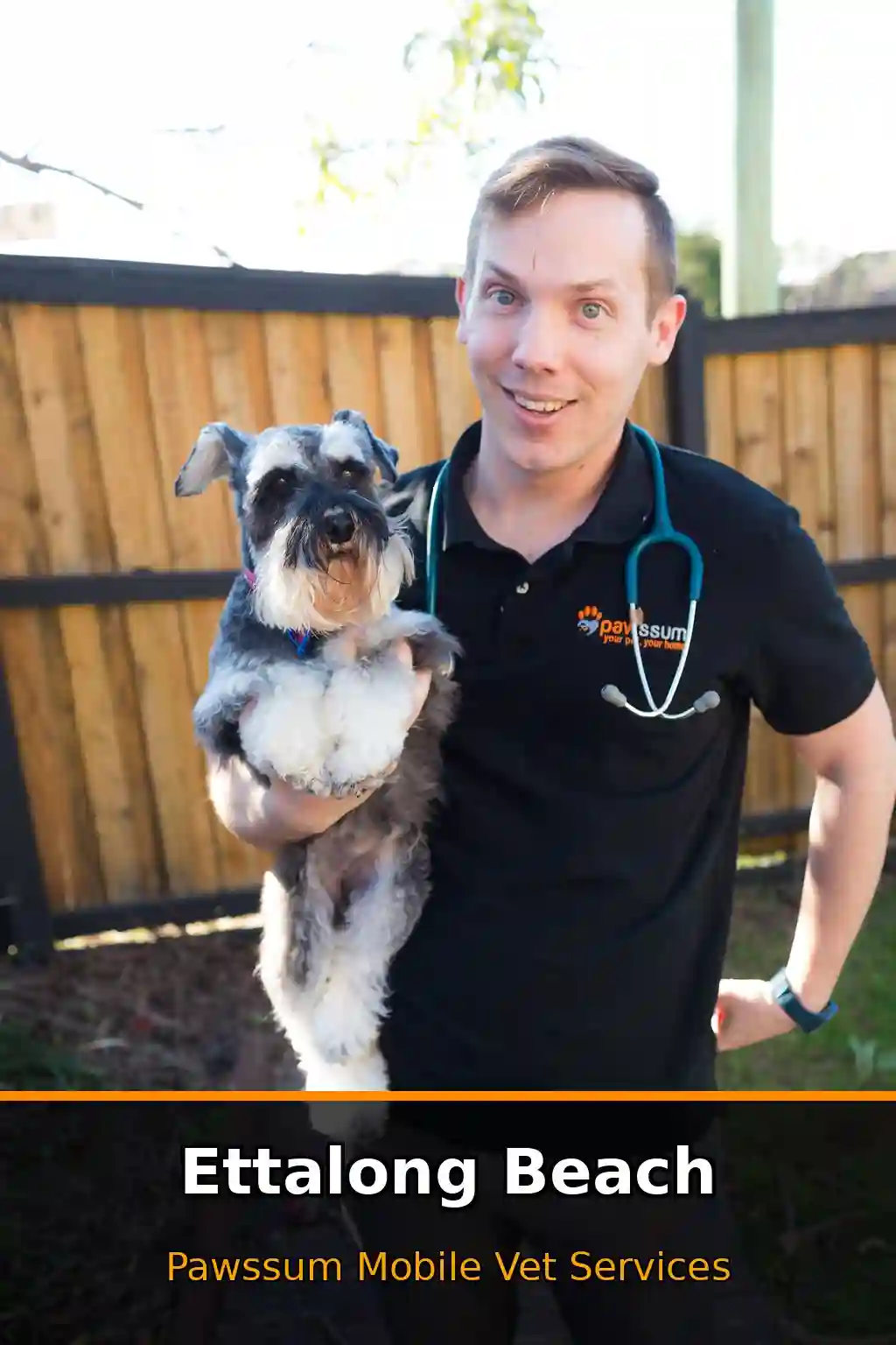Pawssum mobile vet providing in-home pet care in Ettalong Beach, nsw-central-coast