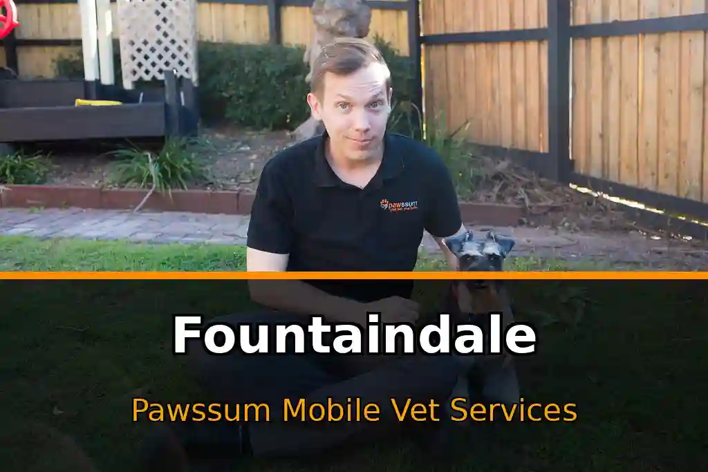 Pawssum mobile vet providing in-home pet care in Fountaindale, nsw-central-coast