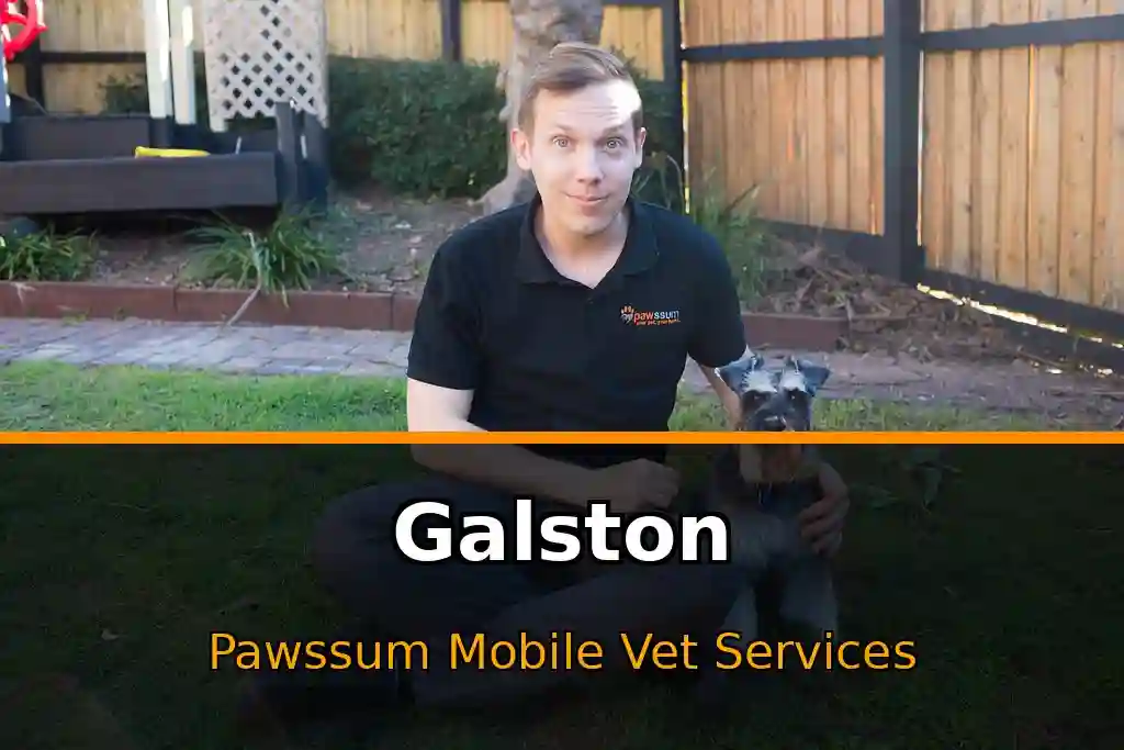 Pawssum mobile vet providing in-home pet care in Galston, nsw-central-coast