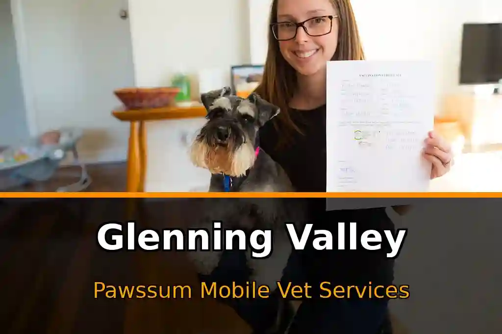 Pawssum mobile vet providing in-home pet care in Glenning Valley, nsw-central-coast