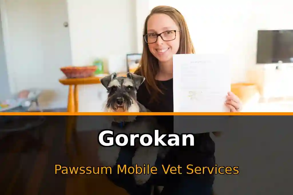 Pawssum mobile vet providing in-home pet care in Gorokan, nsw-central-coast